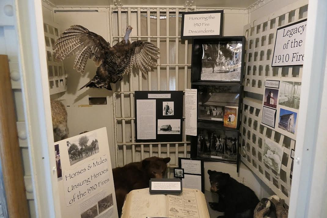 One of the displays in the Old Jail Museum in Thompson Falls details the history of the Great Fire of 1910, which burned three million acres in Montana and Idaho. (Adam Lindsay/Valley Press)