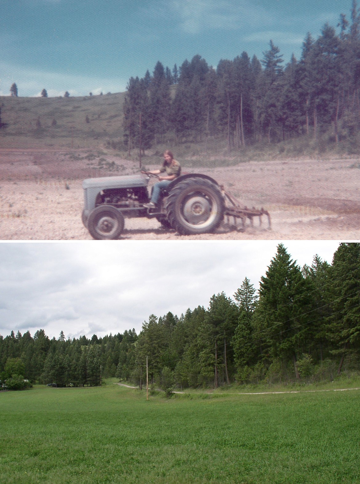 Views of Chapman Hill taken along Hogue Drive in 1970 (above) and 2004 (below) show how 34 years of vegetation growth can change the landscape. (photos provided)