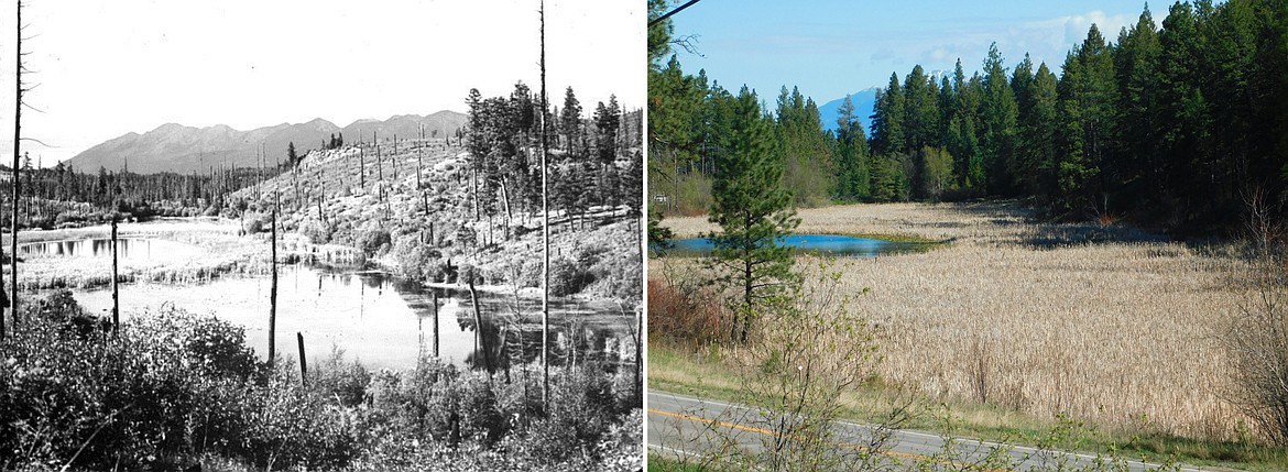 Two images of Daphina Pond south of Bigfork, one taken in 1901 and one in 2021, show the vegetation differences in the Bigfork area over the past 120 years. (photos provided)