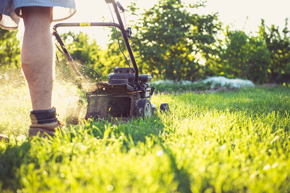 Letting your lawn grow a little taller will keep it healthier when the weather gets hot.