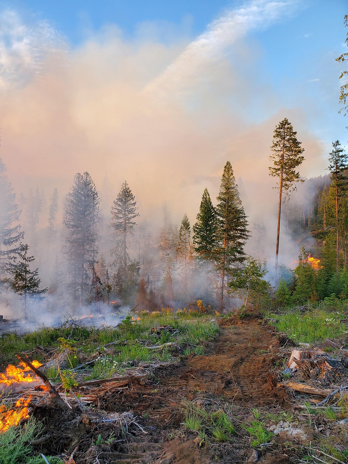 The Little Pine Fire, seven miles north of Priest River, was mapped at 175 acres Thursday morning, making it the first fire of significance this season.