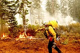 US seeks to bolster firefighter ranks as wildfires increase