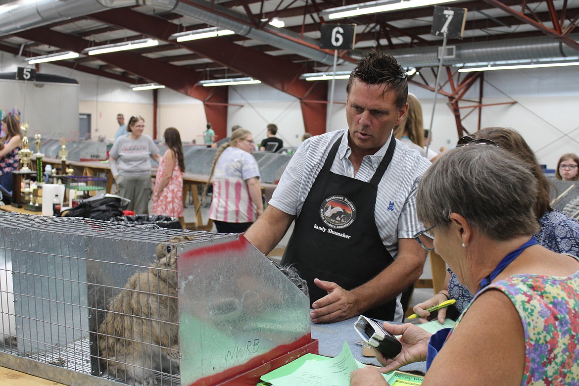 Judge Randy Shumaker looks over some Flemish Giants at the Washington State Rabbit Breeders Association Convention at the Grant County Fairgrounds on Saturday.