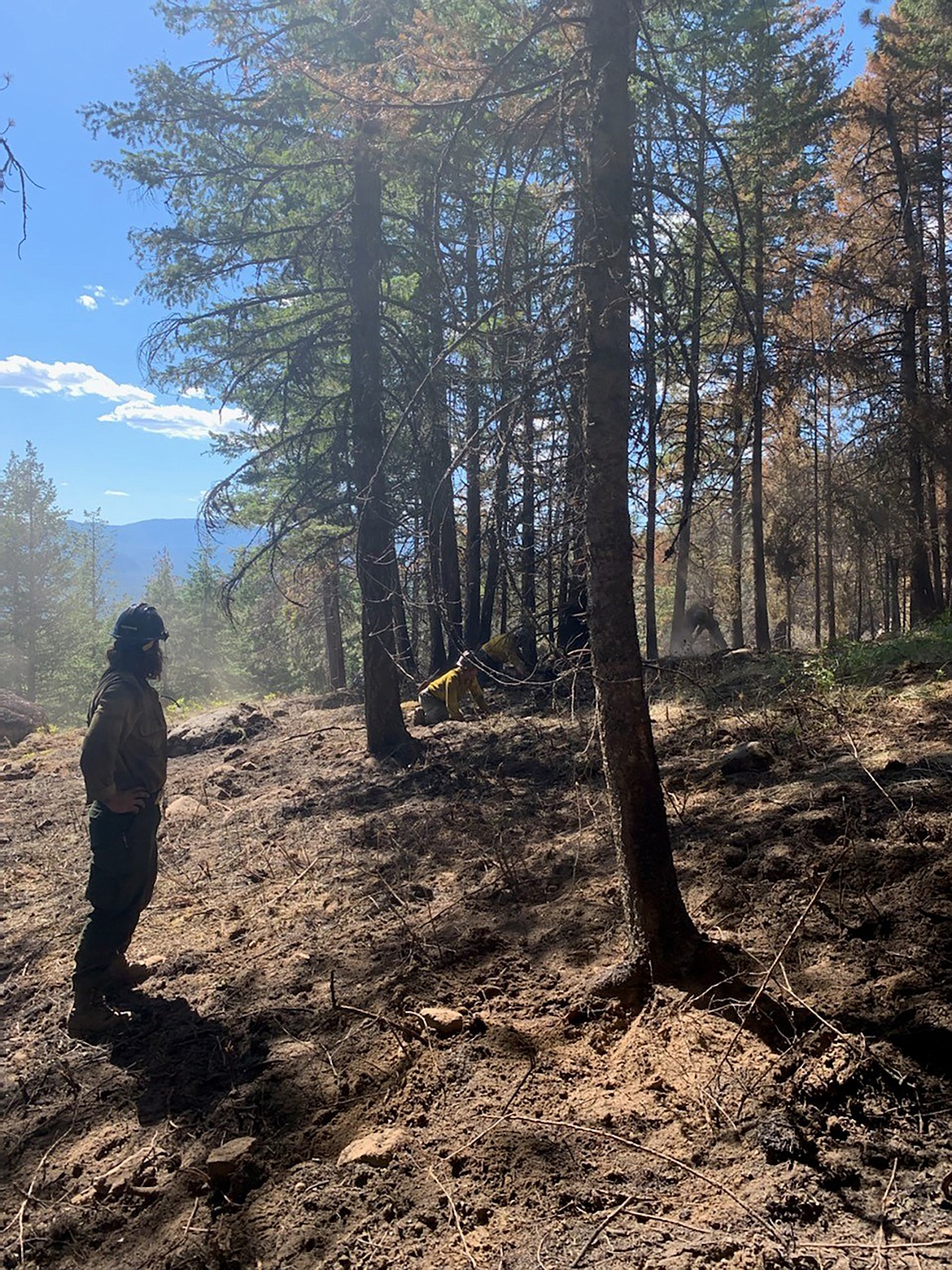 A photo of the recent Little Pine Fire near Priest River.