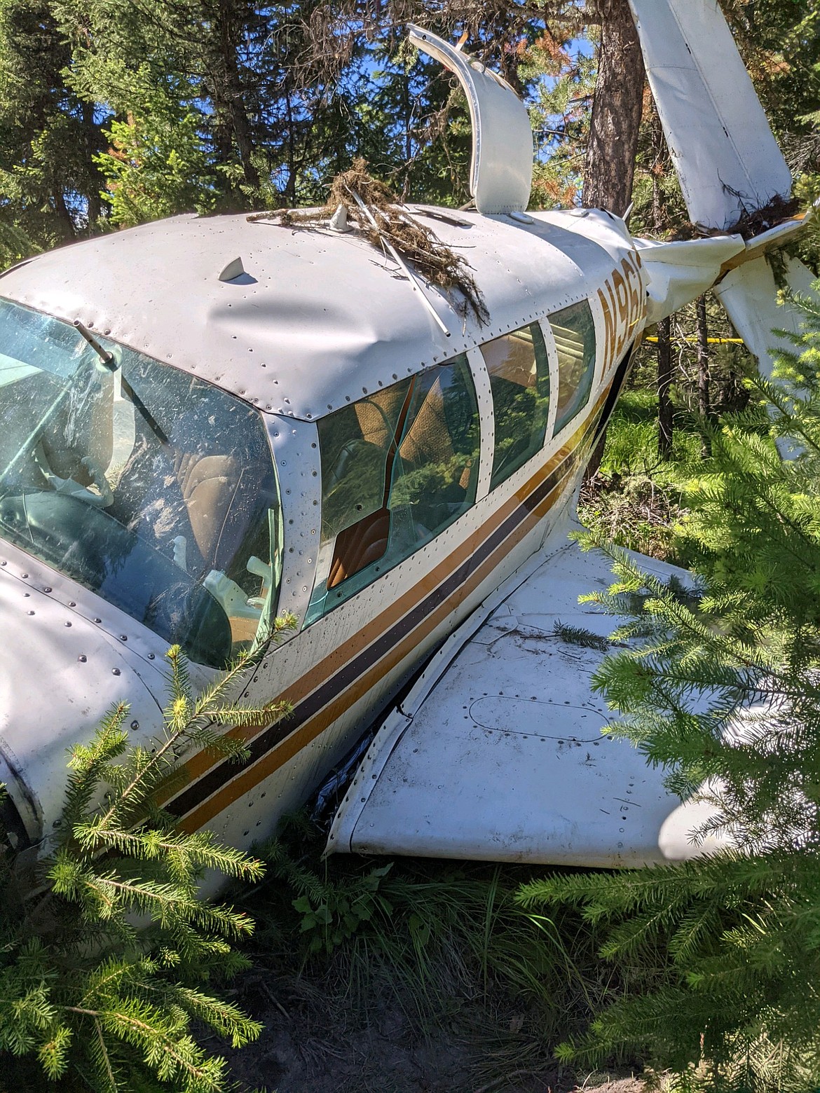 No injuries were reported after a small single-engine plane crashed Sunday, June 27, 2021, near Round Mountain Loop in the Marion area west of Kalispell. (Photo courtesy of the Marion Fire Department)