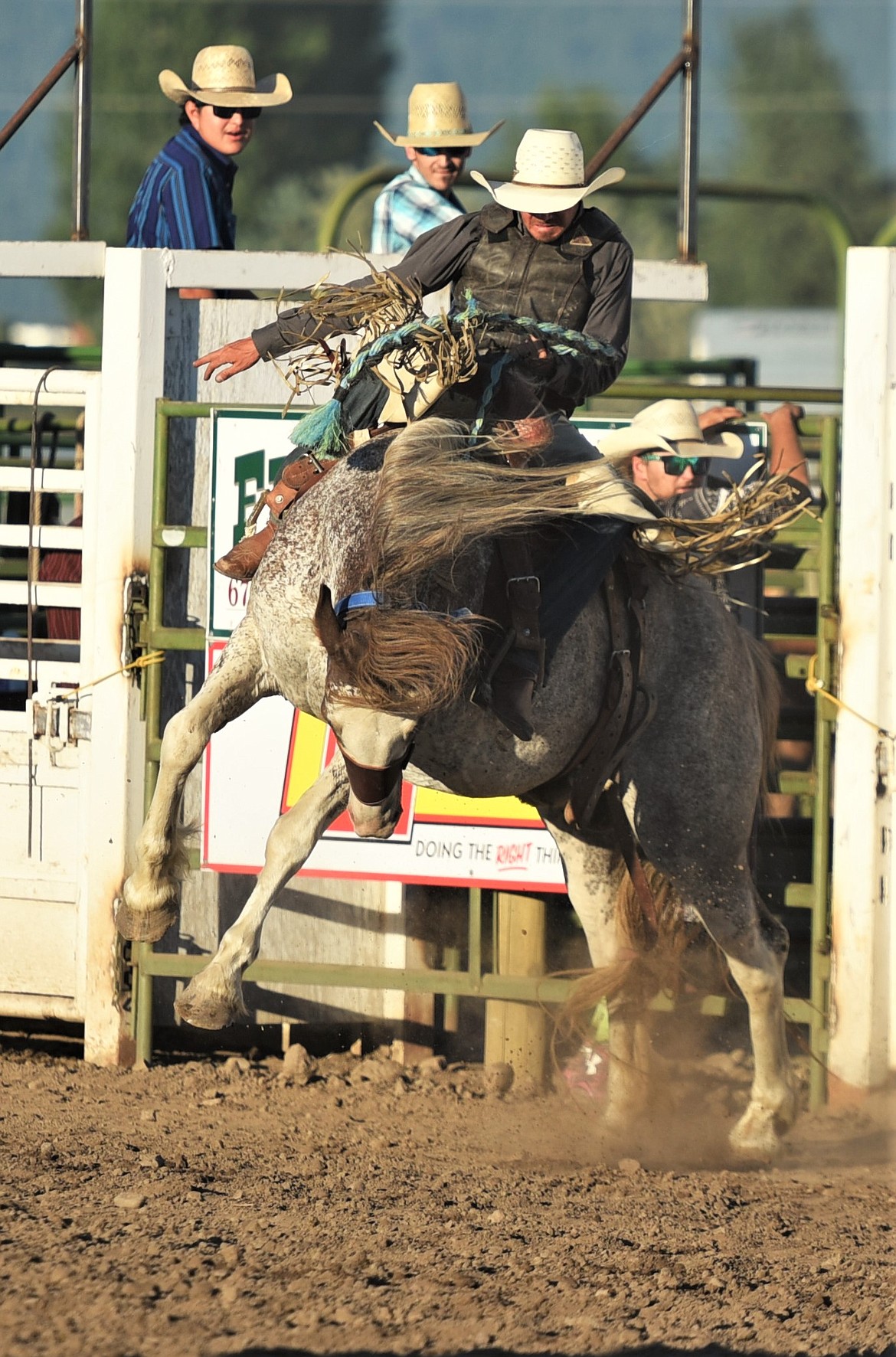 Blaine Huntley of Dillon takes a ride on Dusty Boots during the saddle bronc competition. (Scot Heisel/Lake County Leader)