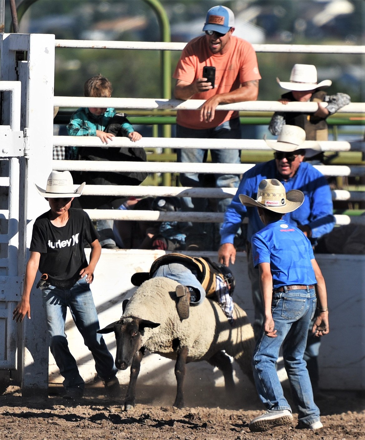 A young mutton buster takes an unorthodox approach during his ride Saturday. (Scot Heisel/Lake County Leader)