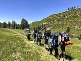 Boy Scouts, Girl Scouts suffer huge declines in membership