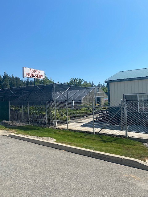 Normally bustling with customers during peak planting season, Aspen Nursery, located at 6075 E. Commerce Loop in Post Falls is temporarily closed due to extreme temperatures. Wednesday afternoon, the only sounds heard were the sprinklers. Aspen will reopen Tuesday July 6.