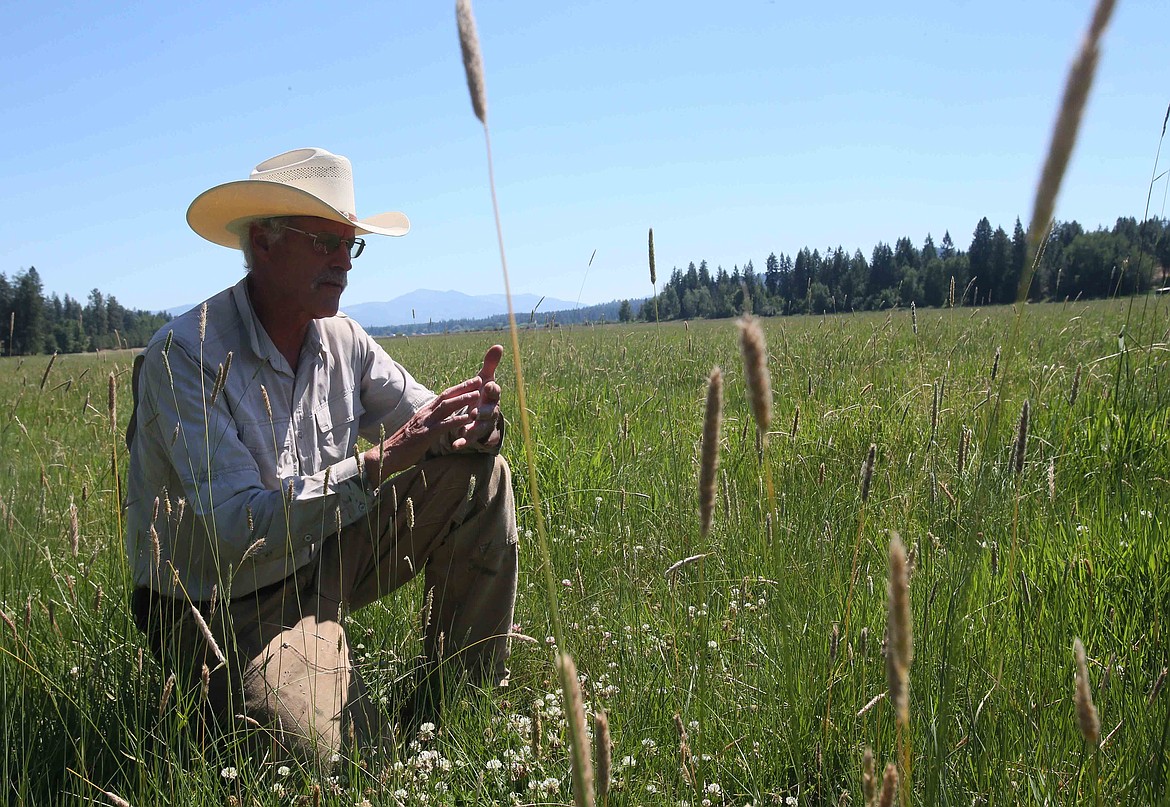 John Mobbs, who runs Lazy JM Ranch in Hauser with wife Betty, kneels in a field June 29 to discuss paddock grazing and the natural "armor" that protects the ground using this practice. Lazy JM Ranch is one of several area farms that are participating in the Panhandle Farm Corridor.