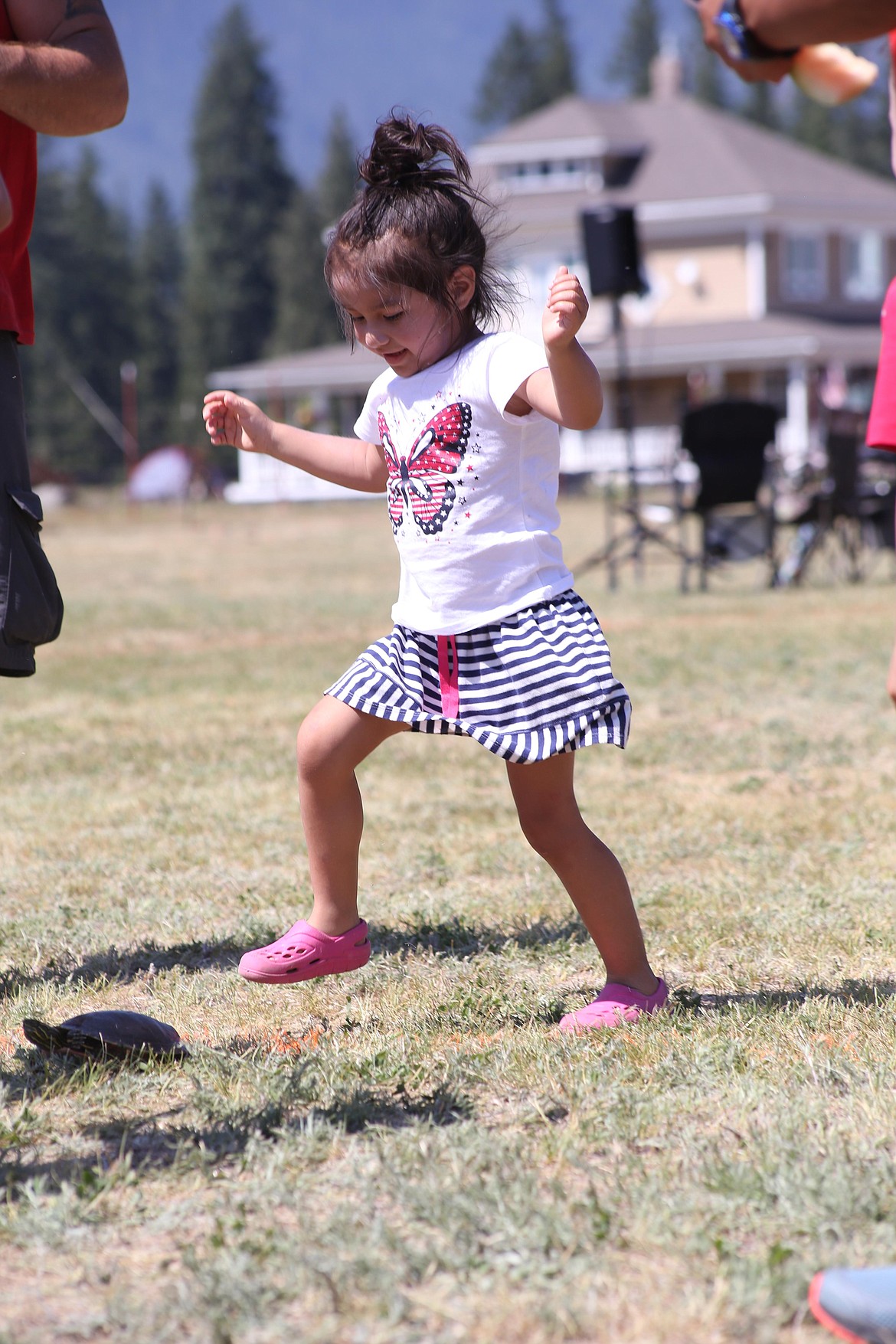 Kids aged two to 10 participated in the turtle racing event of the Old Fashioned Fourth of July celebration sponsored by the Rod and Gun Club. 
The turtles got "too hot" after the 10 year old age group.