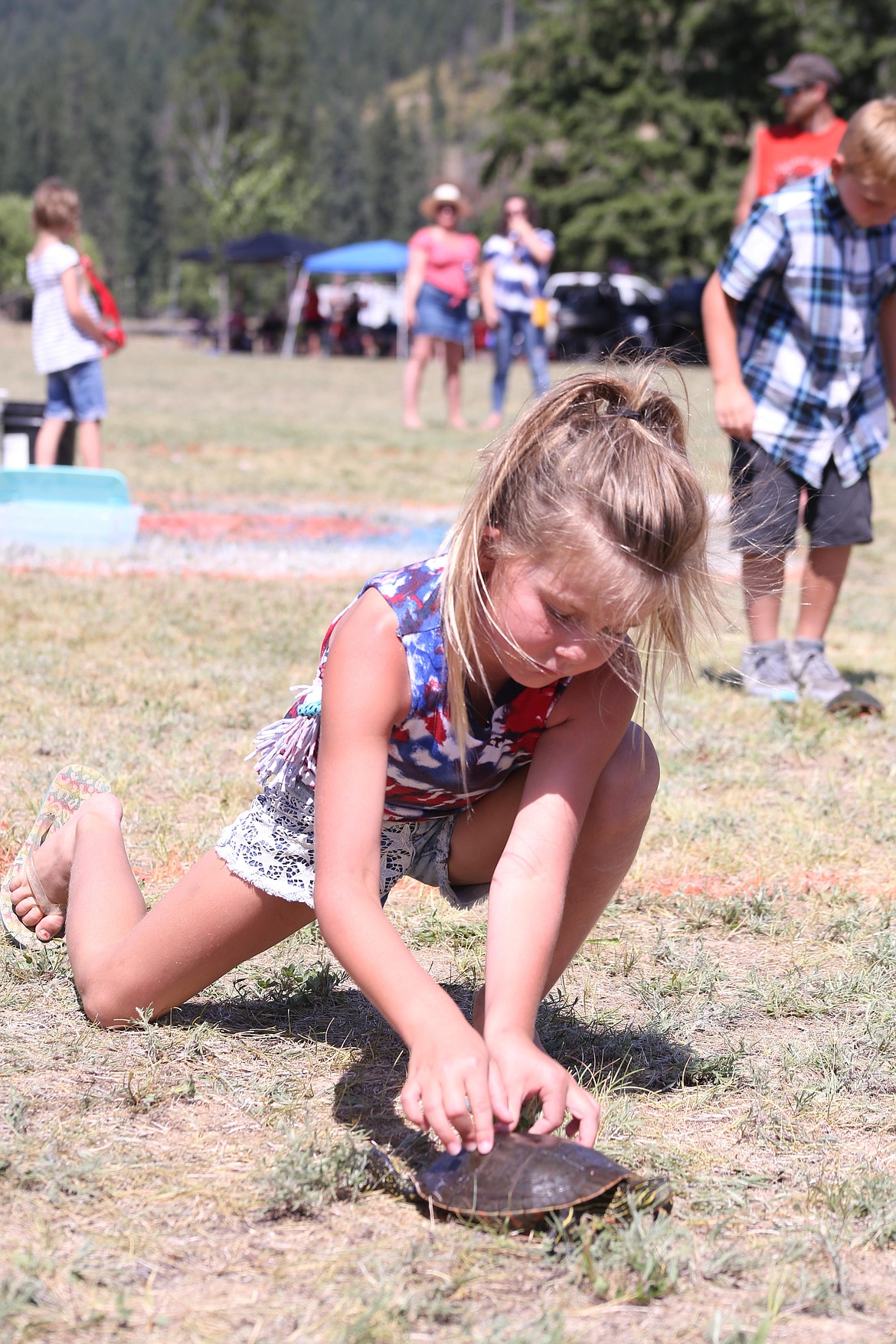 Kids aged two to 10 participated in the turtle racing event of the Old Fashioned Fourth of July celebration sponsored by the Rod and Gun Club. 
The turtles got "too hot" after the 10 year old age group.