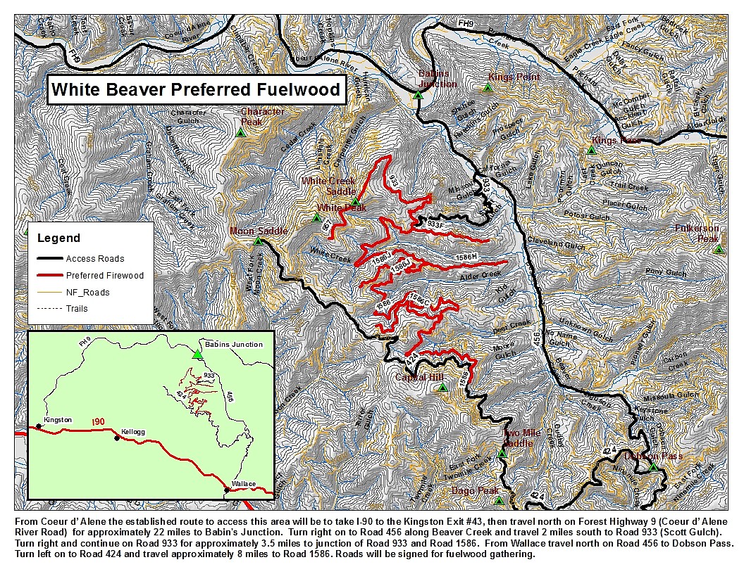 Preferred fuelwood cutting area open on the Cd'A River Ranger District ...