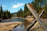 Officials hunt grizzly that killed camper in Montana town