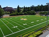 Vandals unveil new outdoor turf field
