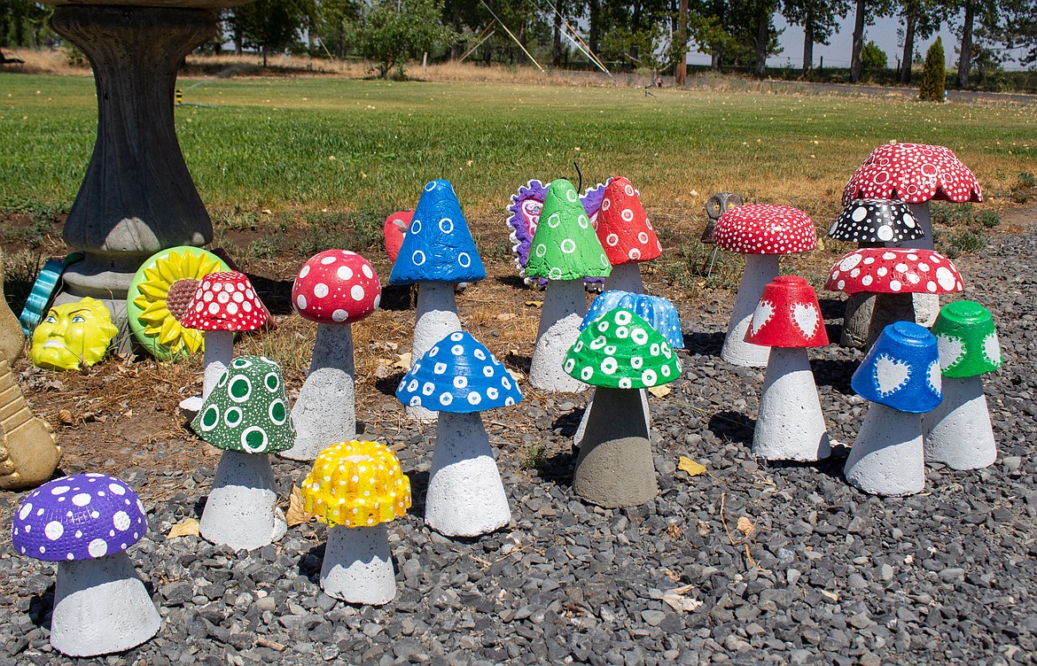 Custom concrete mushrooms in a variety of colors and sizes are lined up in the backyard of Joan Lewis’ home in Moses Lake on Wednesday.