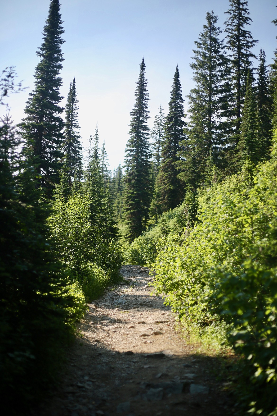 The trail up Mount Aeneas pictured Friday, July 9.
Mackenzie Reiss/Bigfork Eagle