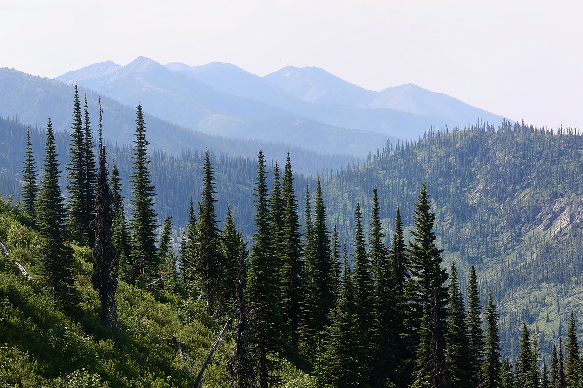 PHOTOS Mount Aeneas Bigfork Eagle