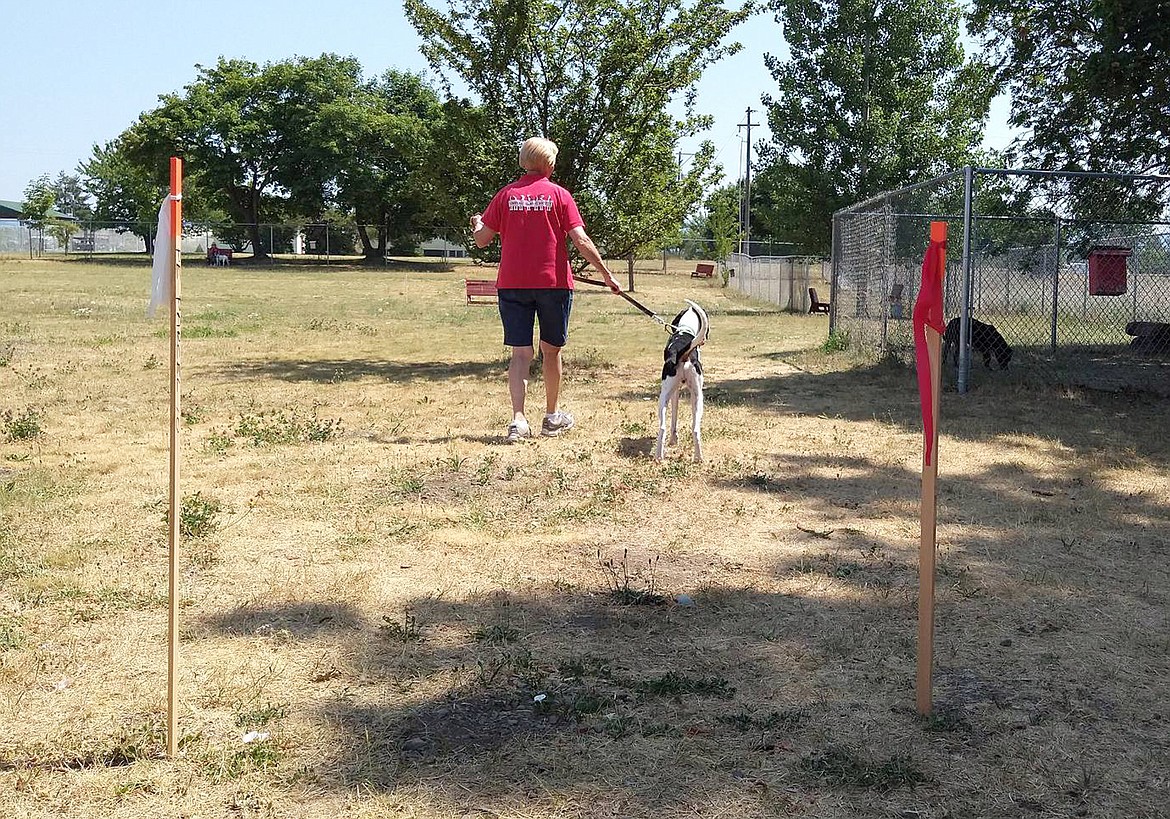 A volunteer takes a dog for a walk Monday near the new stake markers recently put in the ground at the Kootenai Humane Society.