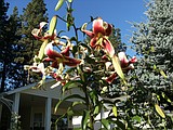 MY GARDEN PATH: Keep up the good work!