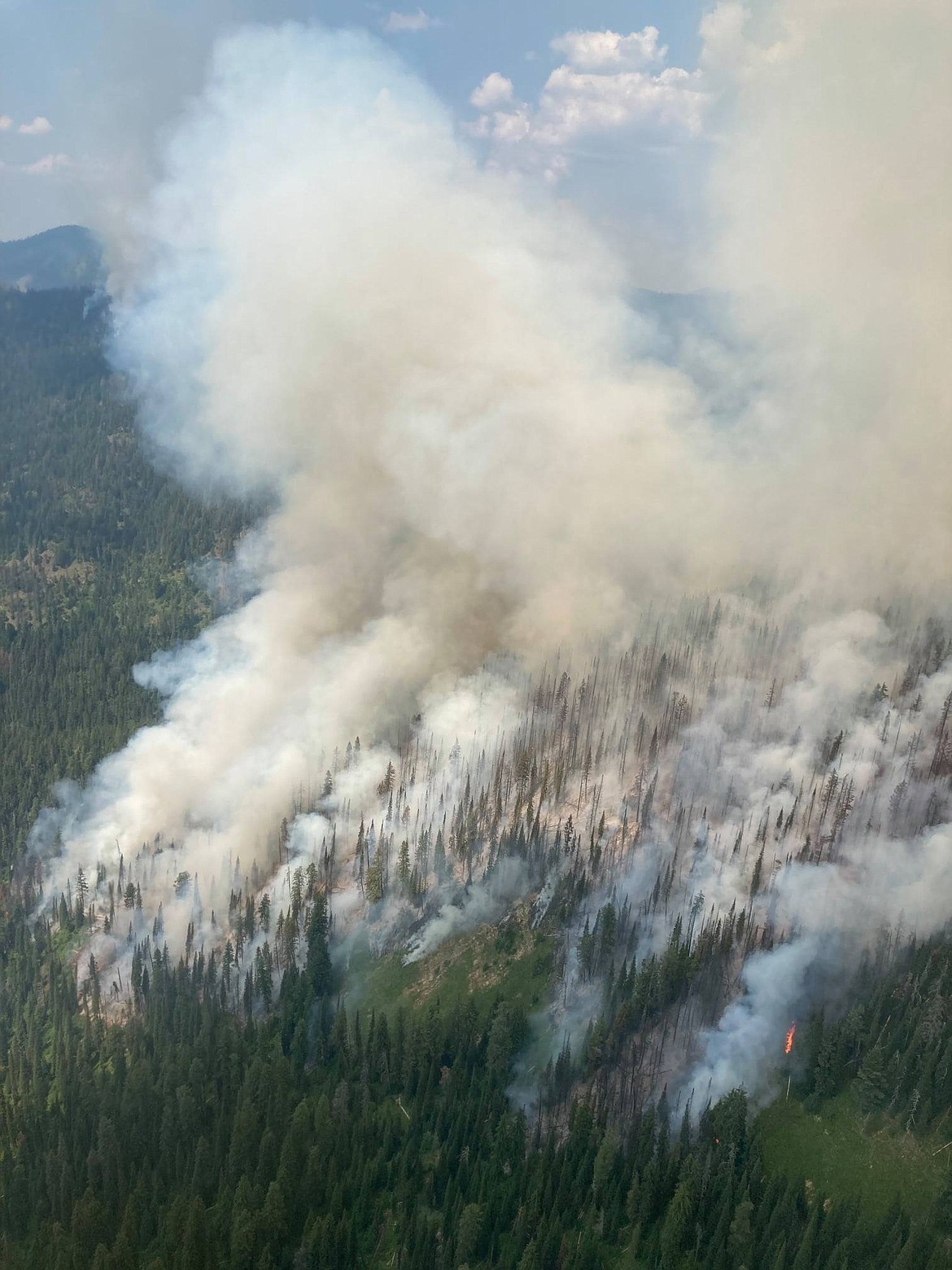 Smoke billows from a wild fire burning in steep, rugged country. (U.S. Forest Service photo)