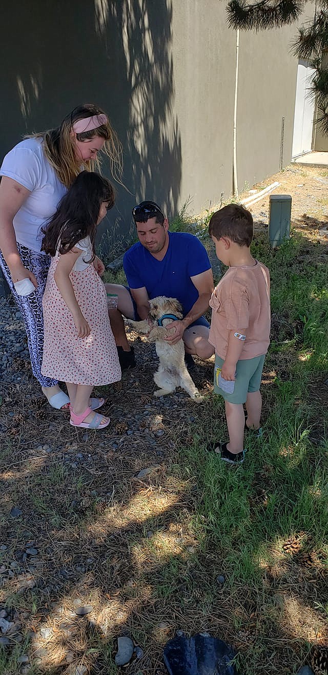 The Cepoi family celebrates with their 5-month-old puppy, Toby, June 19 in Ellensburg, after the animal ran away from a collision the family was involved in a week before.