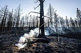 Western wildfires grow, but better weather helps crews