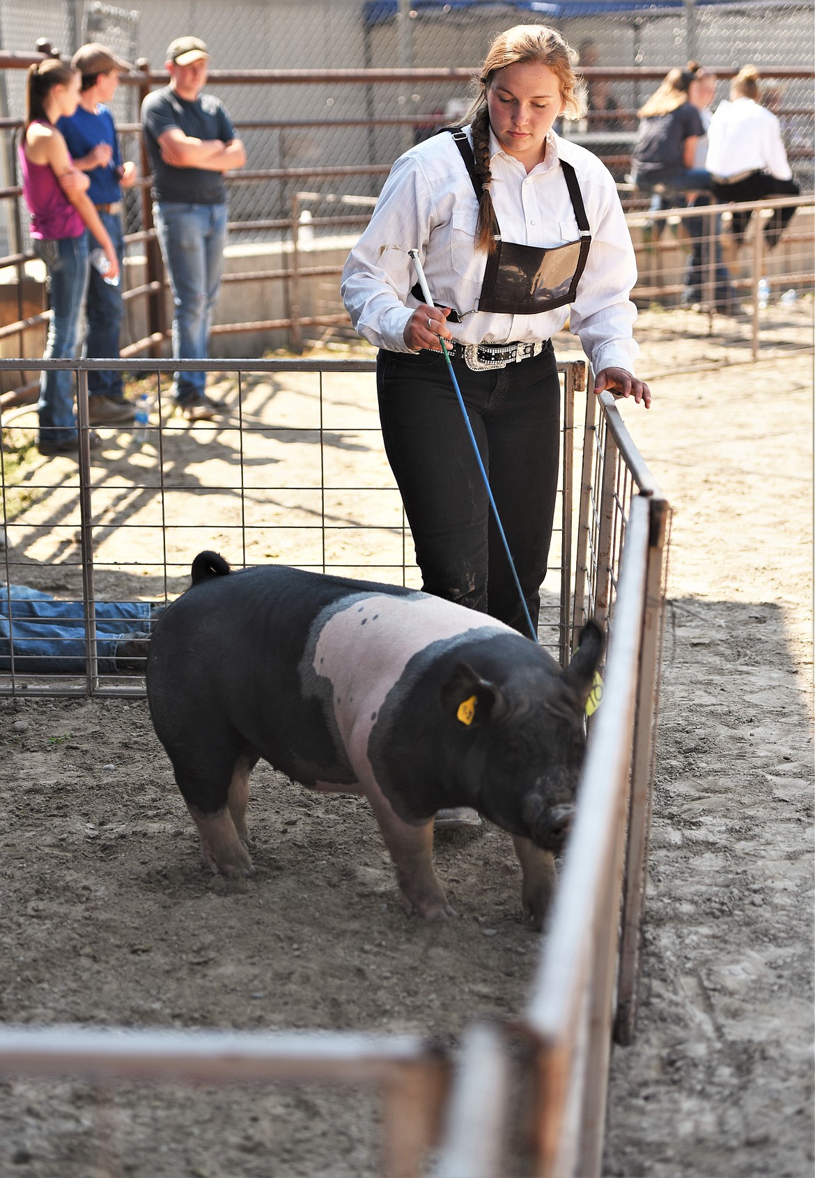 Kemrie Cross shows her grand champion hog. Kemrie also had the senior grand champion beef entry this year. (Scot Heisel/Lake County Leader)