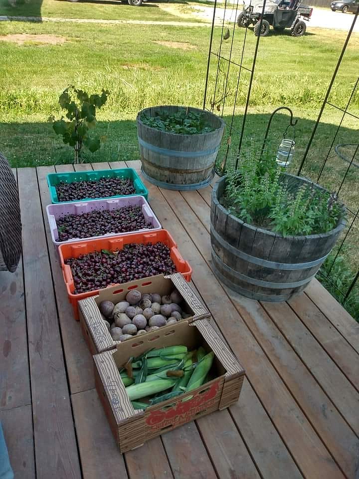 Donated produce fills Hawks' porch during the growing season.
