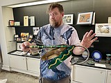 On display: Basalt Collective features local, regional artists
