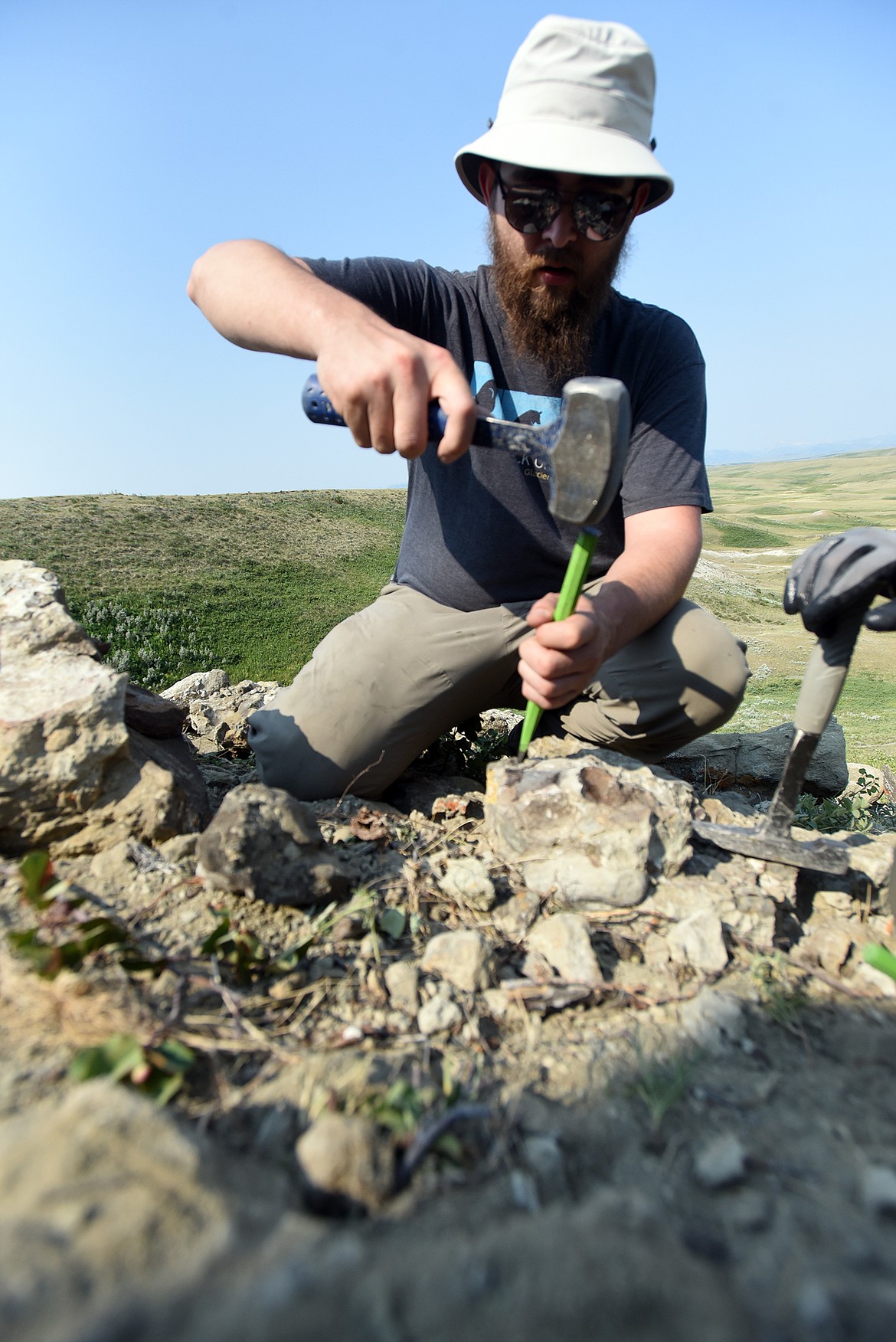 Zane Rhyneer chisels into rock chunks in search of loose dinosaur teeth. (Jeremy Weber/Daily Inter Lake)