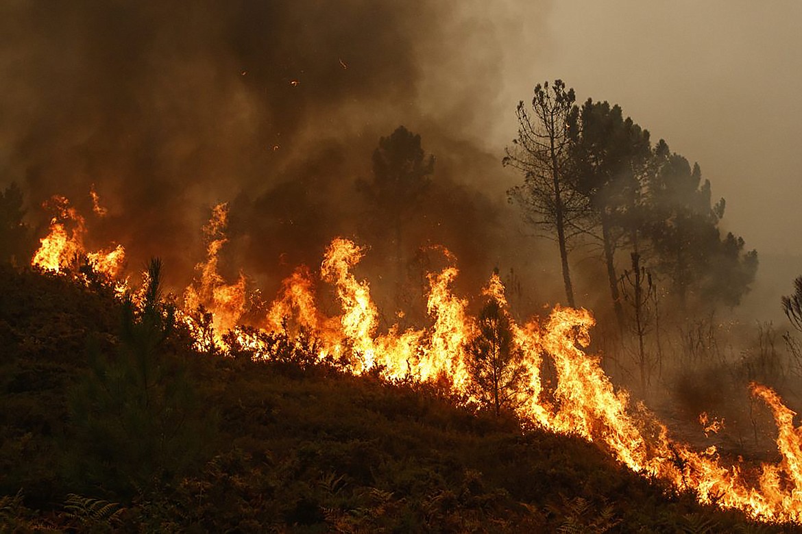 In the two decades leading up to 2016, Idaho had more acres burned in wildfires than any other state in the continental U.S., according to an Idaho Statesman analysis of federal wildfire data.