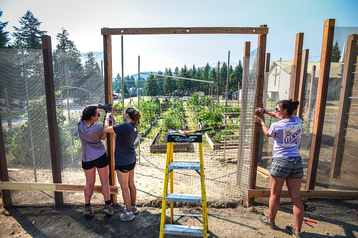 Architecture students, from left, Emma Gallaugher, from University of Virginia; Emma Schnelle, a graduate student at The University of Texas at Austin; and Katherine Harland, from Clemson University; secure a 7-foot, 6-inch high piece of deer netting to the arbor of the Lakeside Community Garden outside the Living Church at Lakeside on Friday, July 30. The three are part of 100 Fold Studios' summer internship program for architecture students interested in nonprofit careers. (Casey Kreider/Daily Inter Lake)