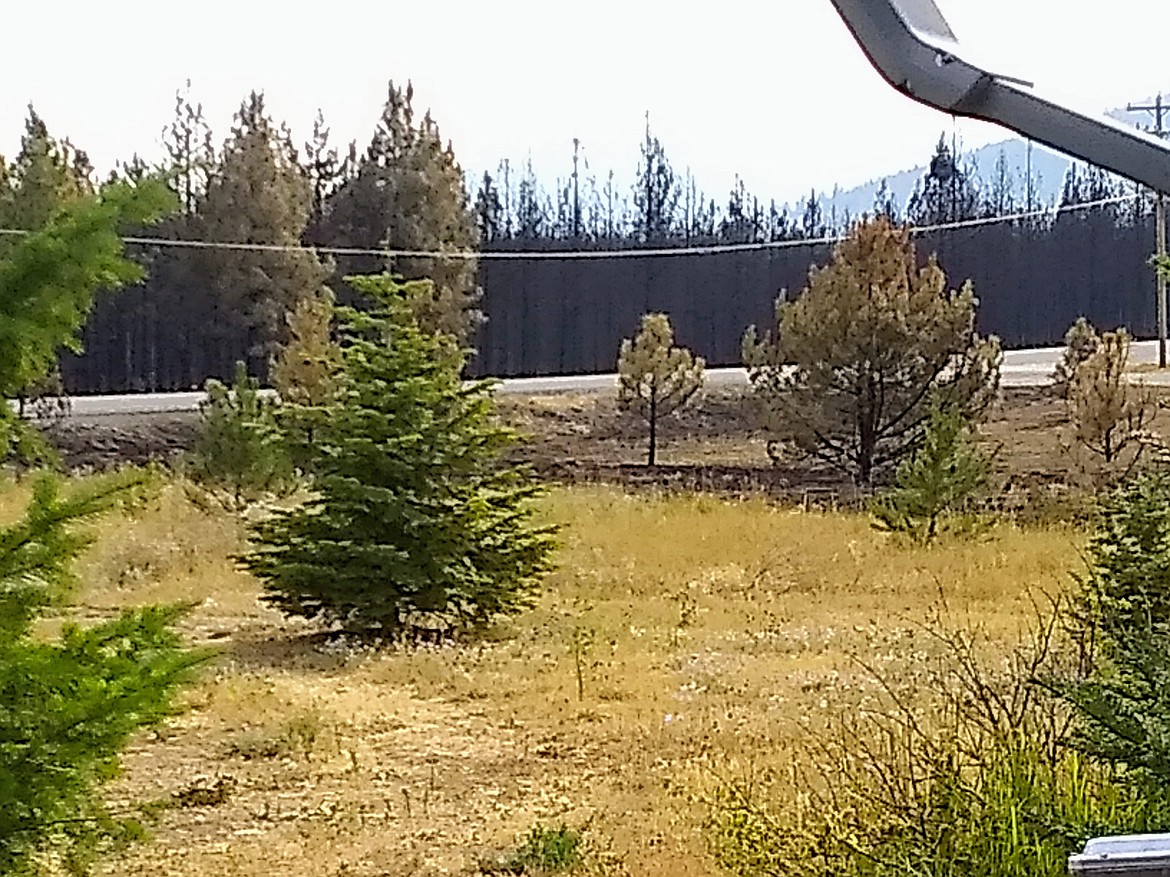 Jan Messner's view from her front porch at her home on Brunner Road after the fire passed through the area. Photo courtesy of Jan Messner.