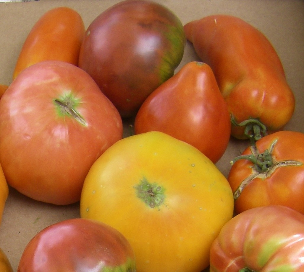 You can find a wide range of tomatoes for the perfect salad at the Sandpoint Farmers Market.