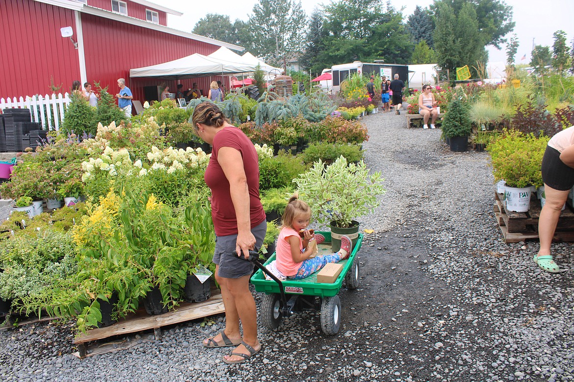 Amanda Eilers pulls her daughter Mattie Eilers in a wagon at the Seed Cupboard Nursery Flower Festival outside of Royal City on Saturday.