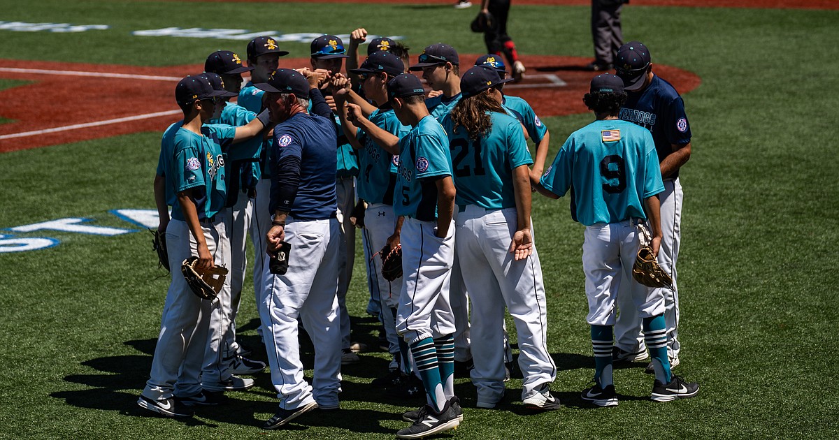 Woodland Blue Babe Ruth 13-15 All-Stars reach semifinals of NorCal State  Tournament – Daily Democrat