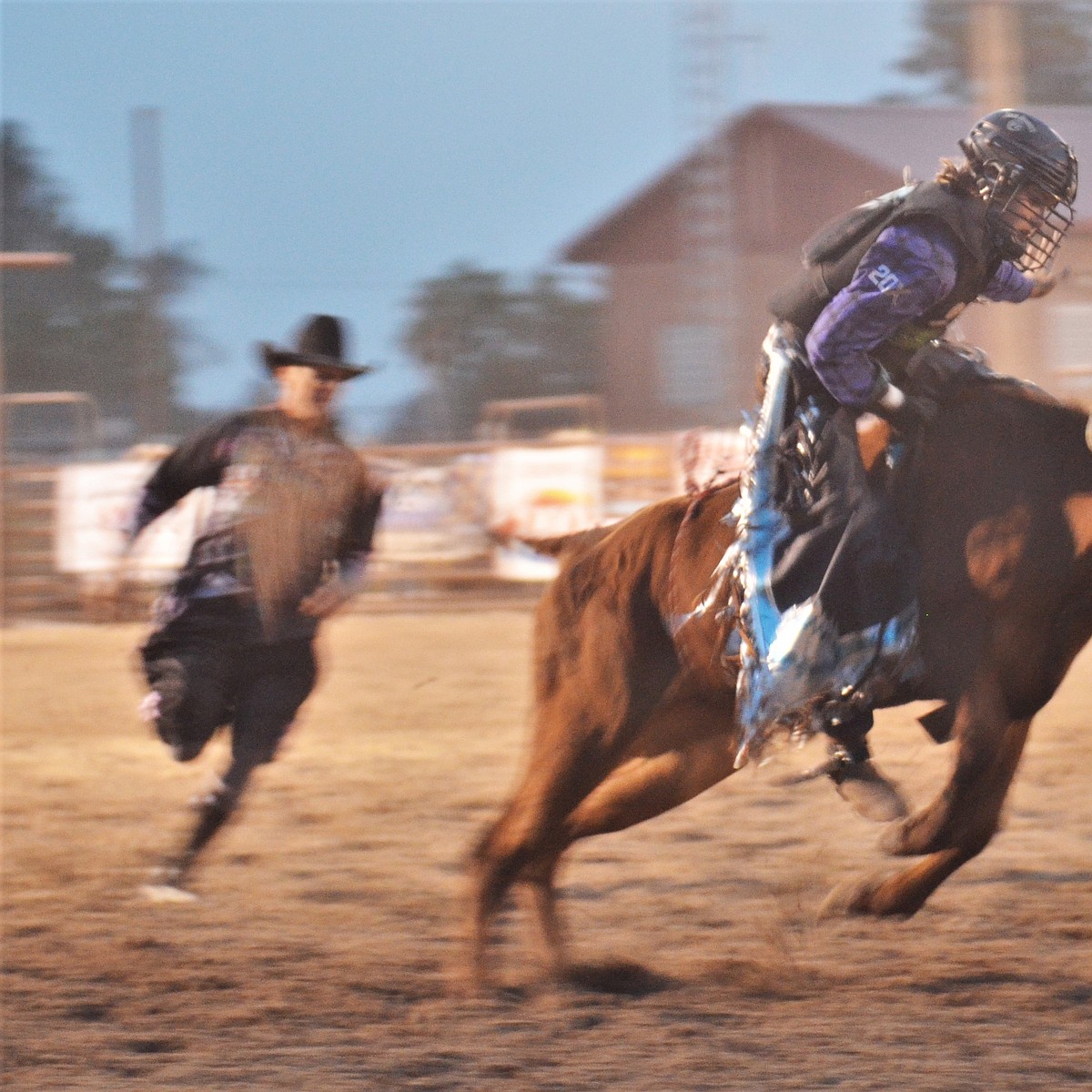 Dinnocenzo takes bull riding title | Lake County Leader