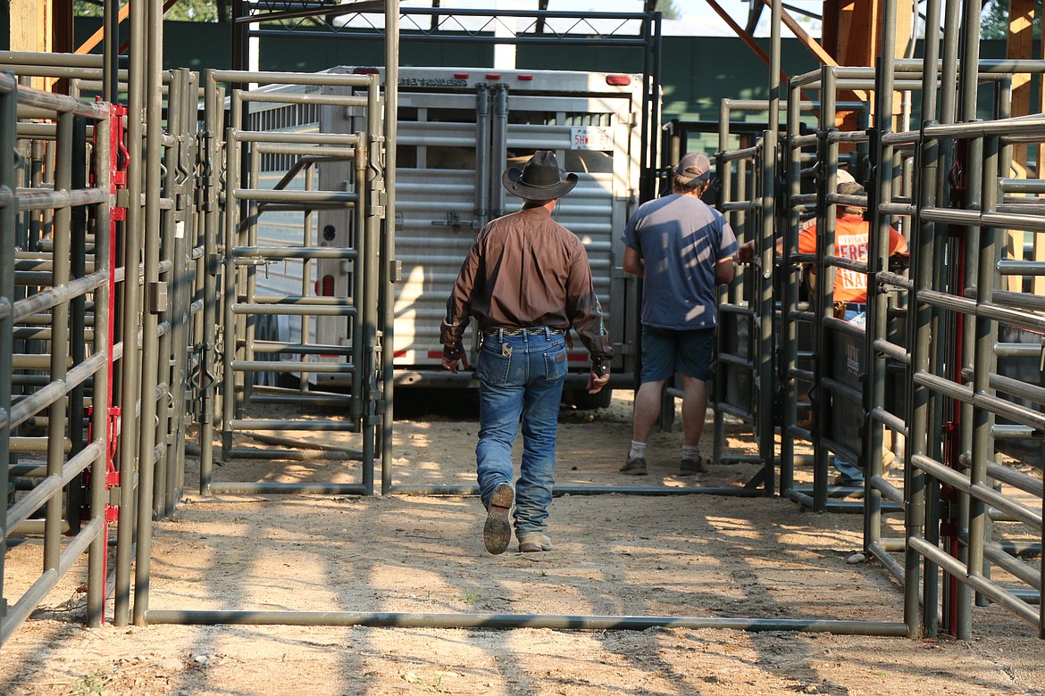 Jimmy Cornelius walks down a chute lined with new metal pens before releasing the horses that will be participating in this weekends PRCA Rodeo at the Bonner County Fairgrounds.