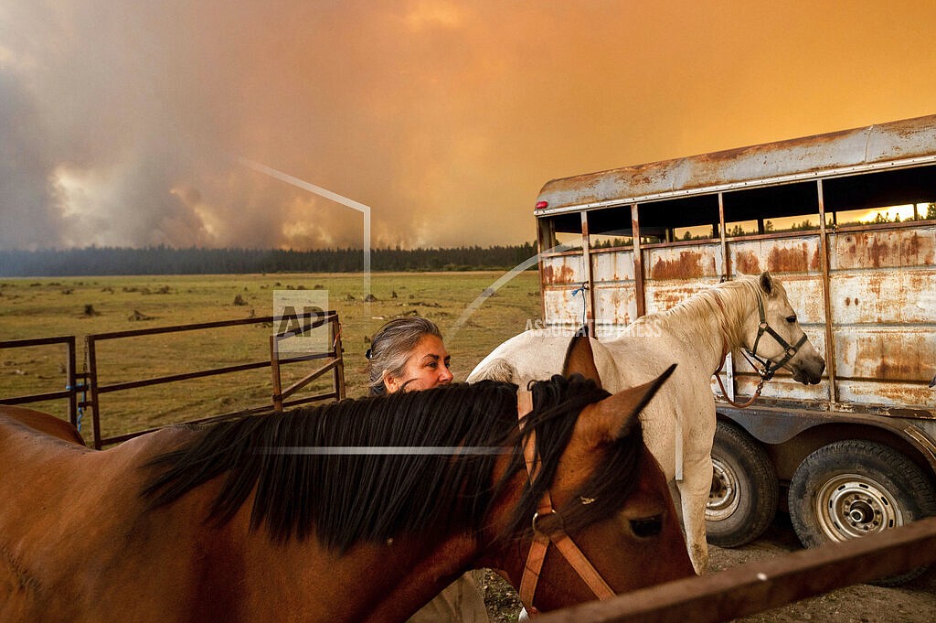 Dawn Garofalo settles her horses in a temporary enclosure on the shore of Lake Almanor as the Dixie Fire approaches Chester, Calif, on Tuesday, Aug. 3, 2021. Garofalo, whose pickup truck has mechanical problems, planned to ride out the fire on the edge of the lake. (AP Photo/Noah Berger)