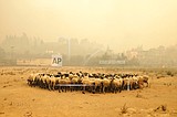 Greek fires force beach rescue, approach Olympics birthplace