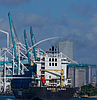 Shipping snags prompt US firms to mull retreat from China