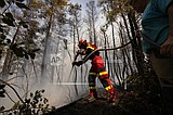'We fought a great battle': Greece defends wildfire response