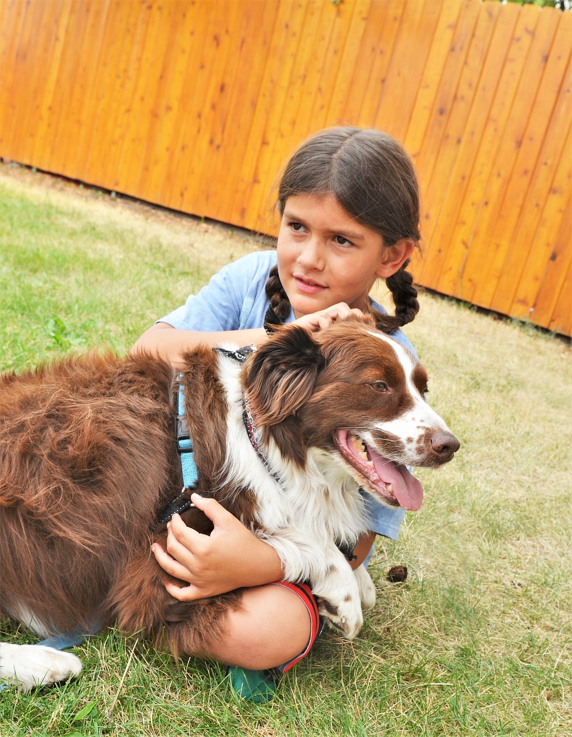 "If they turn around and sit, that means they trust you," Jaxen said. Rufus was adopted from the Tobacco Valley Animal Shelter. (Carolyn Hidy/Lake County Leader)