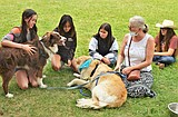 Kids, animals heal together in Arlee
