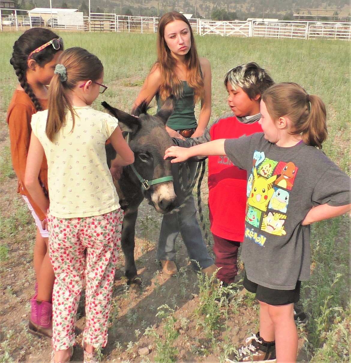 "The donkey is my favorite," was a common utterance during the final day of Pawsitively Healing Camp at the Arlee Rodeo Grounds. (Courtesy of Devin Cordier)