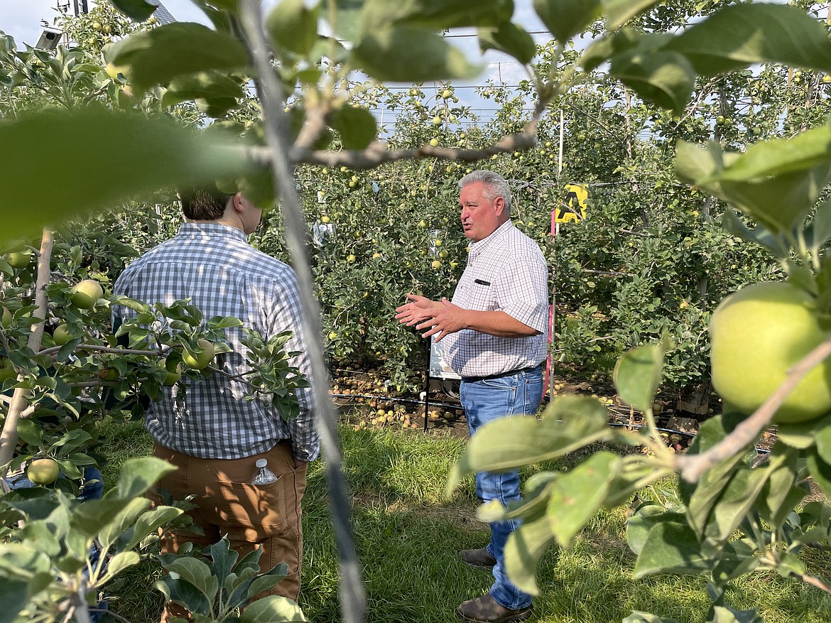 Karl Wirth, certified crop advisor with Houston-based agricultural sensor maker Dynamax, talks about the sap flow and soil moisture sensors his company has installed in innov8.ag's Smart Orchard near Grandview.