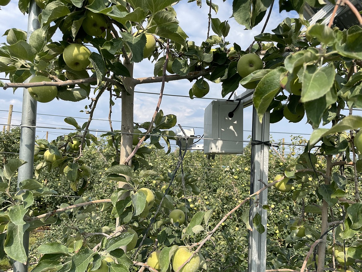 Sensors in the Smart Orchard.