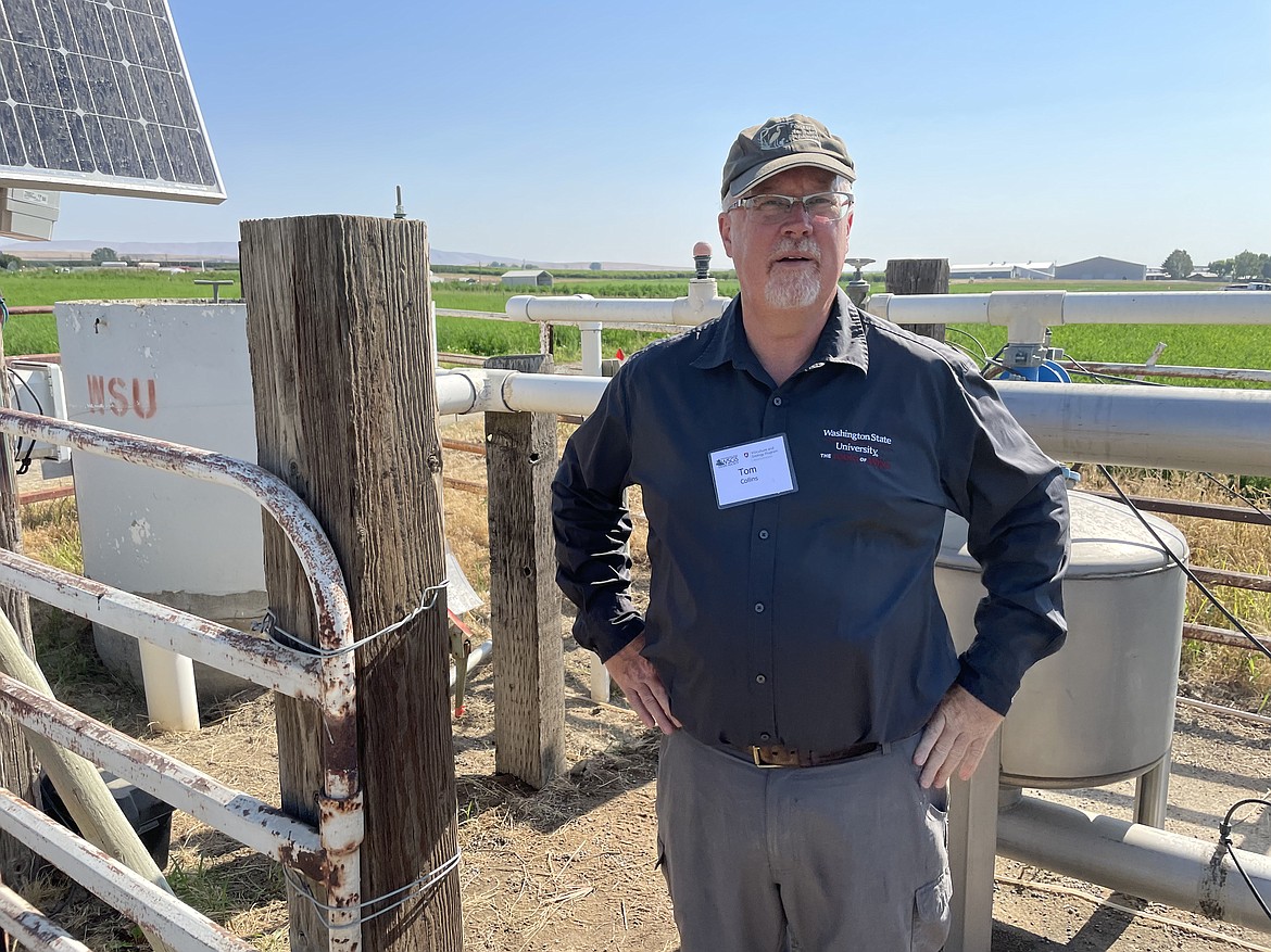 Washington State University researcher Tom Collins stand next to a weather station at the university's Irrigated Agriculture Research and Extension Center Roza Farm near Prosser, during a field day visit in late June to the farm's research vineyard organized by WSU and the Washington State Grape Society. The station is the first of 14 WSU plans to place across Washington's wine growing region.