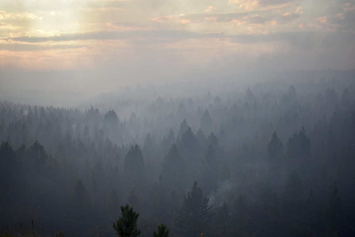 Smoke from a wildfire obscures a stand of trees on the Northern Cheyenne Indian Reservation on Wednesday, Aug. 11, 2021, near Ashland, Mont. In southeastern Montana, communities in and around the Northern Cheyenne Indian Reservation were ordered to evacuate as the Richard Spring Fire grew amid erratic winds. (Matthew Brown/Associated Press)